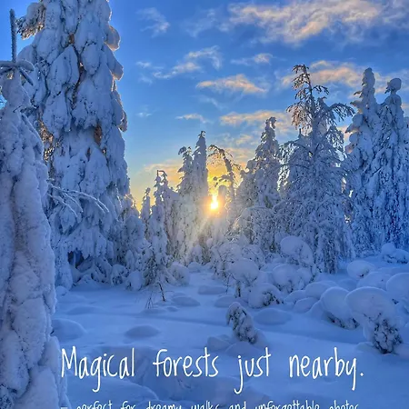 Huvilat Frost Rovaniemi